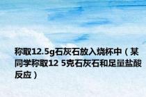 称取12.5g石灰石放入烧杯中（某同学称取12 5克石灰石和足量盐酸反应）