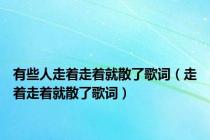 有些人走着走着就散了歌词（走着走着就散了歌词）