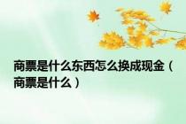 商票是什么东西怎么换成现金（商票是什么）