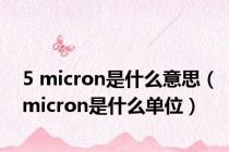 5 micron是什么意思（micron是什么单位）