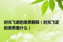 时光飞逝的意思解释（时光飞逝的意思是什么）