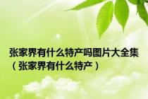 张家界有什么特产吗图片大全集（张家界有什么特产）