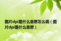 图片dpi是什么意思怎么调（图片dpi是什么意思）