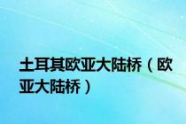 土耳其欧亚大陆桥（欧亚大陆桥）
