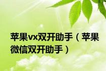 苹果vx双开助手（苹果微信双开助手）