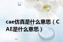cae仿真是什么意思（CAE是什么意思）