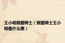 王小明假面骑士（假面骑士王小明是什么梗）