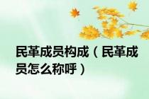 民革成员构成（民革成员怎么称呼）