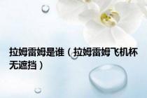 拉姆雷姆是谁（拉姆雷姆飞机杯无遮挡）