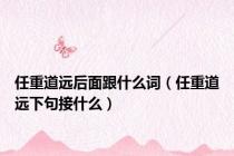任重道远后面跟什么词（任重道远下句接什么）