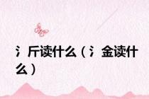 氵斤读什么（氵金读什么）