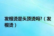 发根烫是头顶烫吗?（发根烫）