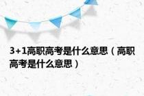 3+1高职高考是什么意思（高职高考是什么意思）