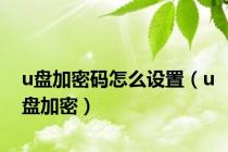 u盘加密码怎么设置（u盘加密）