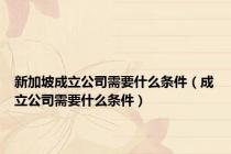 新加坡成立公司需要什么条件（成立公司需要什么条件）