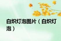 白炽灯泡图片（白炽灯泡）