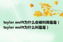 taylor swift为什么会被叫做霉霉（taylor swift为什么叫霉霉）