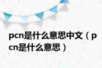 pcn是什么意思中文（pcn是什么意思）