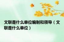 文联是什么单位编制和领导（文联是什么单位）