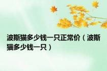 波斯猫多少钱一只正常价（波斯猫多少钱一只）