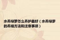 水养绿箩怎么养护最好（水养绿萝的养殖方法和注意事项）