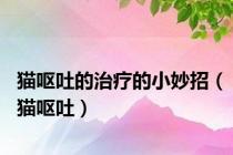 猫呕吐的治疗的小妙招（猫呕吐）