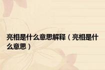 亮相是什么意思解释（亮相是什么意思）