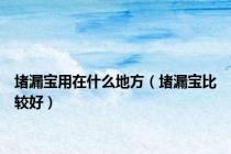 堵漏宝用在什么地方（堵漏宝比较好）
