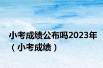 小考成绩公布吗2023年（小考成绩）