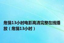 危情13小时电影高清完整在线播放（危情13小时）