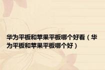 华为平板和苹果平板哪个好看（华为平板和苹果平板哪个好）