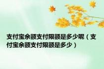 支付宝余额支付限额是多少呢（支付宝余额支付限额是多少）