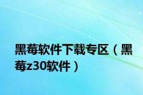 黑莓软件下载专区（黑莓z30软件）