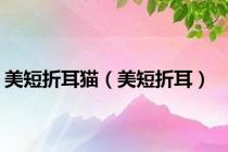 美短折耳猫（美短折耳）