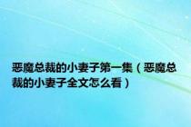 恶魔总裁的小妻子第一集（恶魔总裁的小妻子全文怎么看）