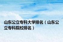 山东公立专科大学排名（山东公立专科院校排名）