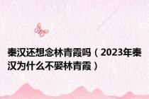 秦汉还想念林青霞吗（2023年秦汉为什么不娶林青霞）