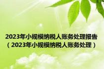 2023年小规模纳税人账务处理报告（2023年小规模纳税人账务处理）