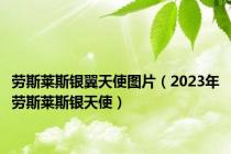 劳斯莱斯银翼天使图片（2023年劳斯莱斯银天使）