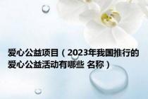 爱心公益项目（2023年我国推行的爱心公益活动有哪些 名称）