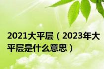 2021大平层（2023年大平层是什么意思）