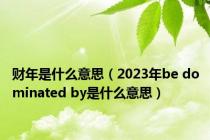 财年是什么意思（2023年be dominated by是什么意思）