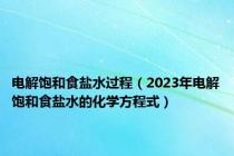 电解饱和食盐水过程（2023年电解饱和食盐水的化学方程式）