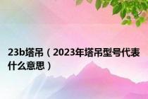 23b塔吊（2023年塔吊型号代表什么意思）