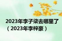 2023年李子柒去哪里了（2023年李梓豪）