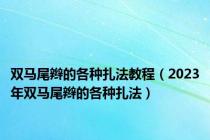 双马尾辫的各种扎法教程（2023年双马尾辫的各种扎法）