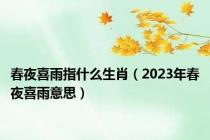 春夜喜雨指什么生肖（2023年春夜喜雨意思）