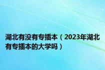 湖北有没有专插本（2023年湖北有专插本的大学吗）