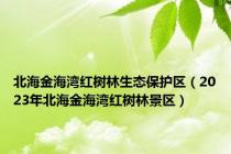 北海金海湾红树林生态保护区（2023年北海金海湾红树林景区）