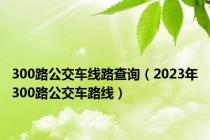 300路公交车线路查询（2023年300路公交车路线）